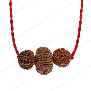 Dhan Vridhi Kavach