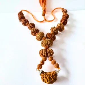 1 Mukhi to 13 mukhi All Rudraksha
