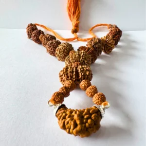 1 Mukhi to 13 mukhi All Rudraksha
